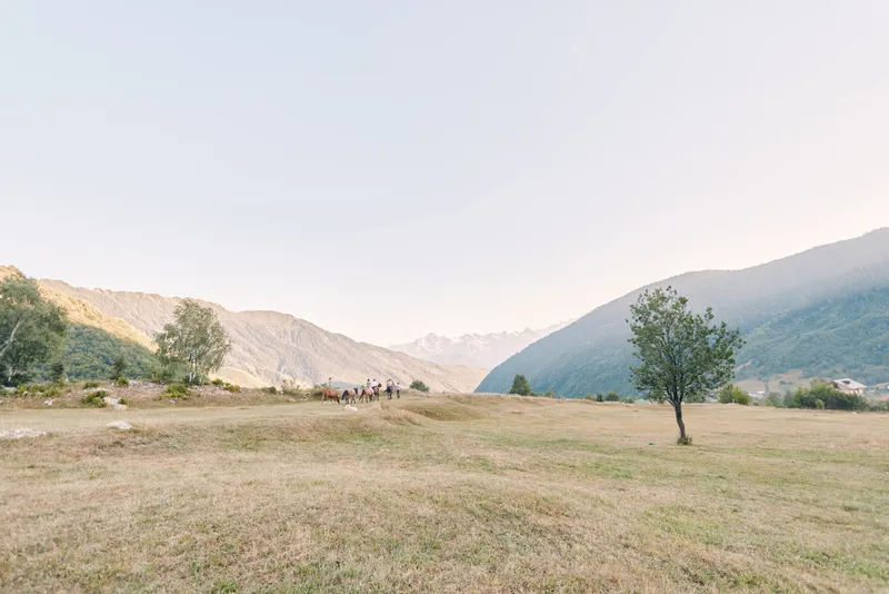 Landscape meadow with a lone tree in an open field and distant mountains, rural valley scene with dry grass, soft sky and peaceful countryside for nature travel and outdoor imagery.