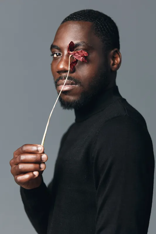 African man with dark skin holding dried flower near face in creative conceptual visual style. Portrait of male model in black sweater with artistic expression on gray background.