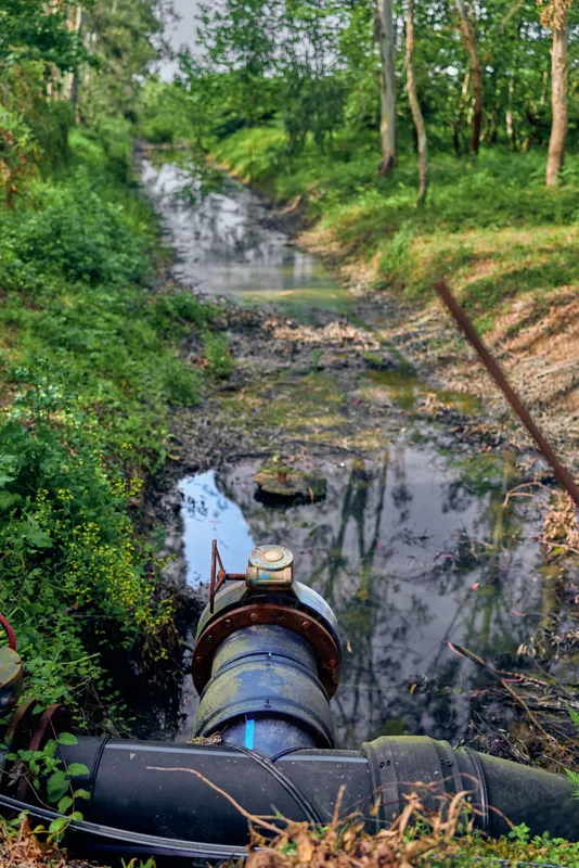 Pipe outlet stream forest water drainage creek valve shown as rusted pipeline discharging water into small woodland creek with muddy banks, green vegetation and reflection.