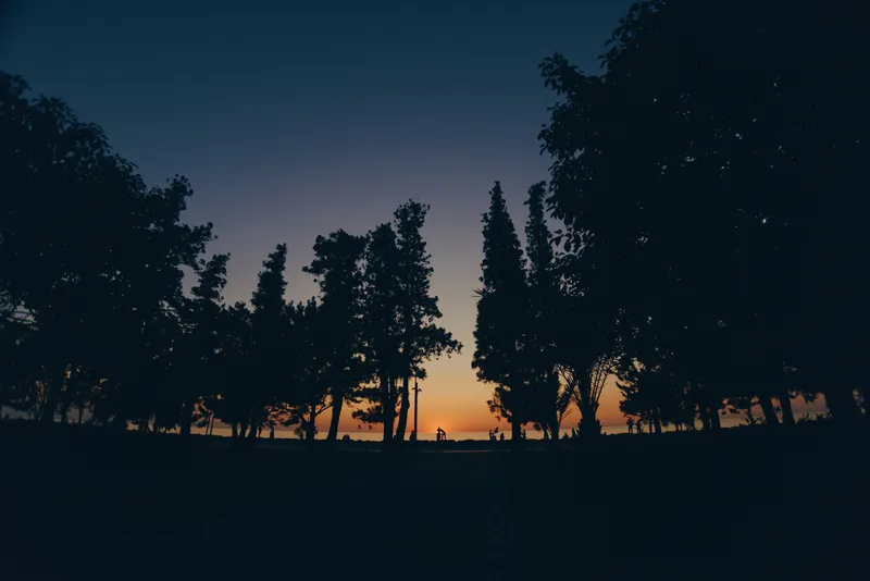 silhouette of person walking at sunset surrounded by tall trees and warm colorful sky creating peaceful atmosphere