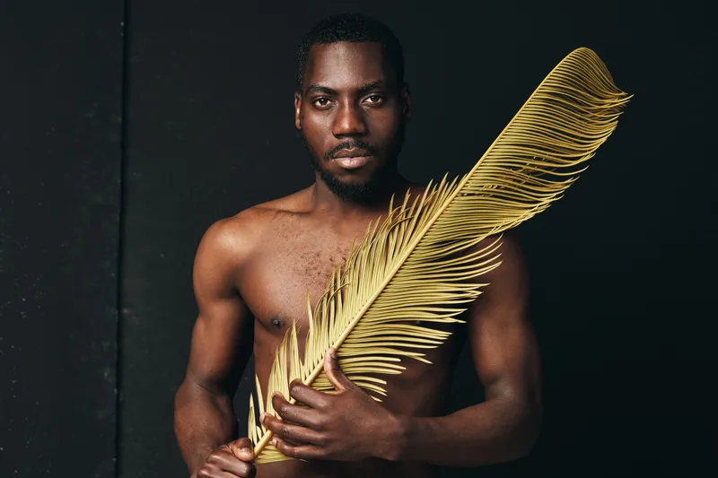 African man with dark skin holding large golden palm leaf in creative conceptual visual style. Portrait of shirtless male model with serious expression on black background in studio.