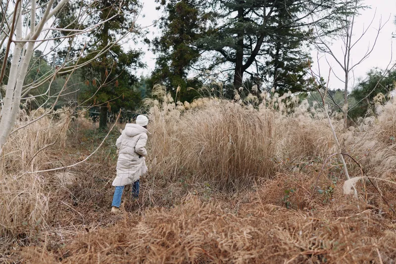 Person in a light hooded coat walks through a winter field of tall dried grasses, bare trees and muted tones, capturing a solitary outdoor moment and quiet nature landscape.