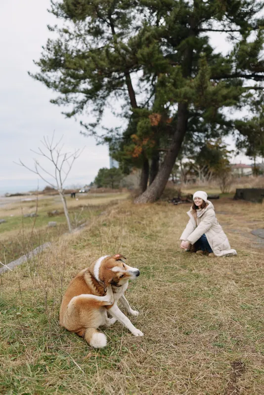 Woman kneels on grass in a park, smiling at a large dog resting nearby under a tall tree, capturing a candid moment of companionship and nature.