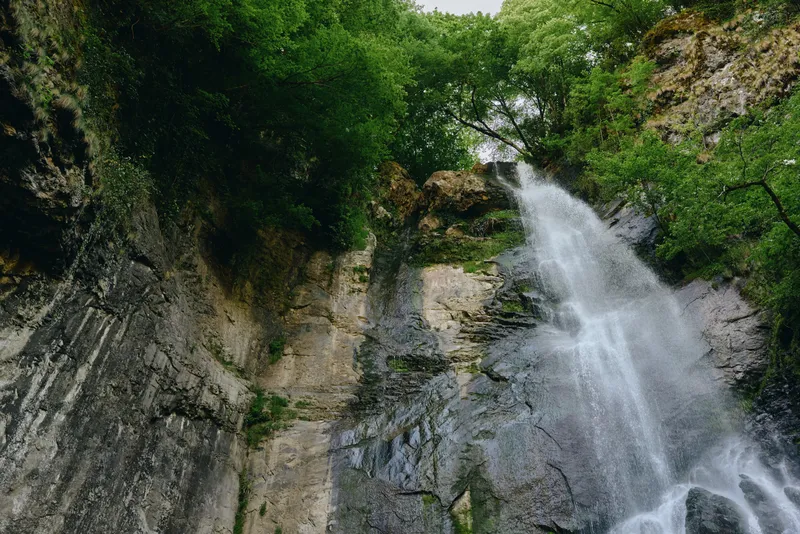 Waterfall cascading down rocky cliff surrounded by lush green forest and vibrant foliage in a natural outdoor setting with dynamic water flow and bright daylight.
