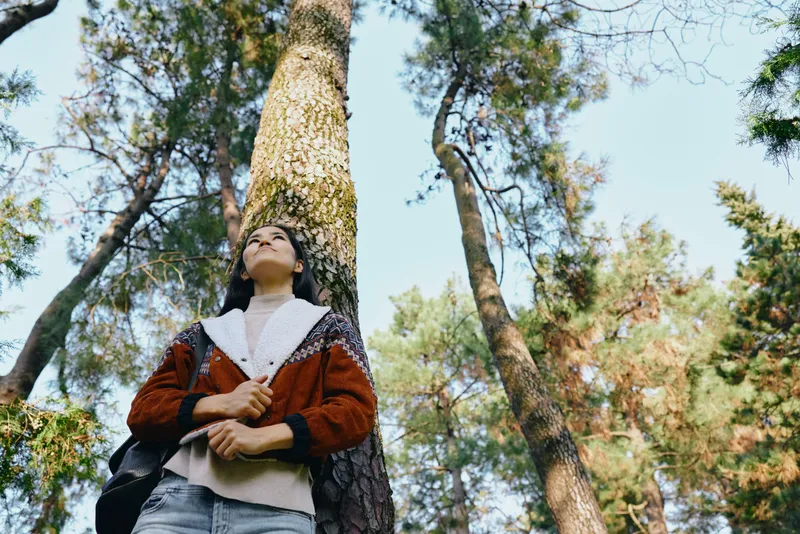 Forest nature outdoor trees woman gaze upward toward sunlight through tall trunks, autumn jacket and scarf, tranquil scene captured among green canopies and clear sky, calm mood and sense of