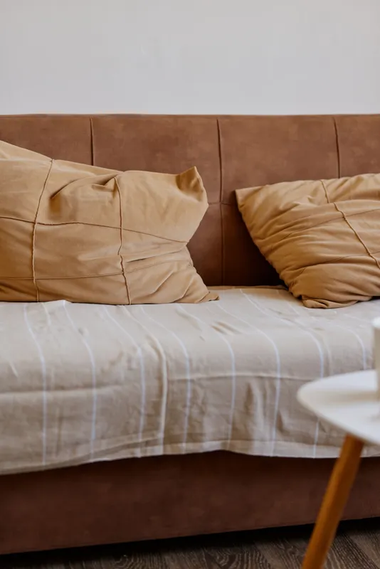 Cozy living room scene featuring a beige sofa with plush cushions, an inviting home atmosphere, simple decor, soft natural light, and a focus on comfort and casual lifestyle