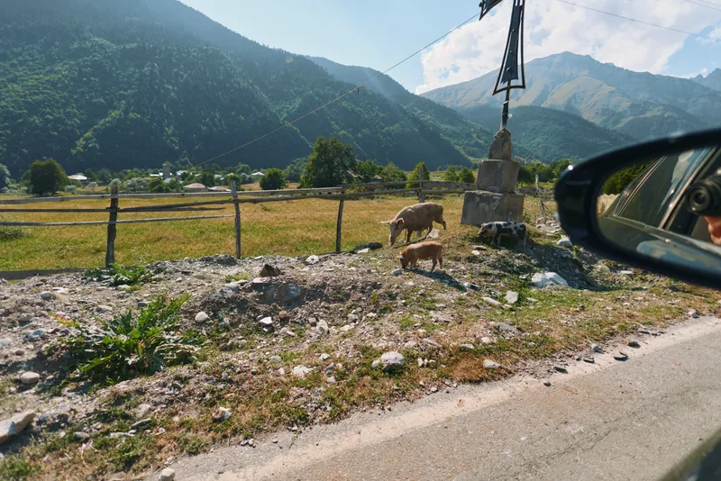A scenic rural view is captured from a car window as cows graze in a rocky field beneath distant mountains, with a side mirror framing the tranquil landscape.