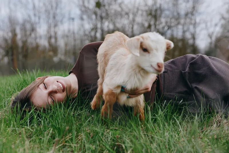 A woman lies on green grass beside a playful goat kid in a rural field, enjoying a calm moment outdoors. A simple scene of companionship, nature, and relaxed leisure, highlighting rural lifestyle and
