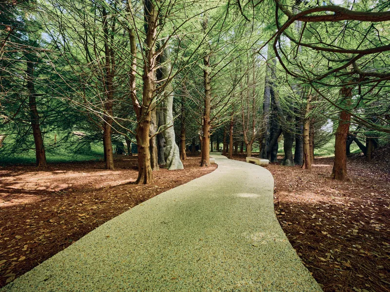 Path through trees in a peaceful forest walkway with dappled sunlight under a leafy canopy, curved gravel path covered with scattered leaves creating a serene natural park scene.