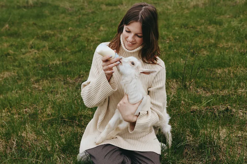 A woman in a chunky beige sweater holds a white goat kid in a grassy field, sharing a tender moment of affection outdoors, showcasing rural lifestyle, animal companionship, and simple farm life.