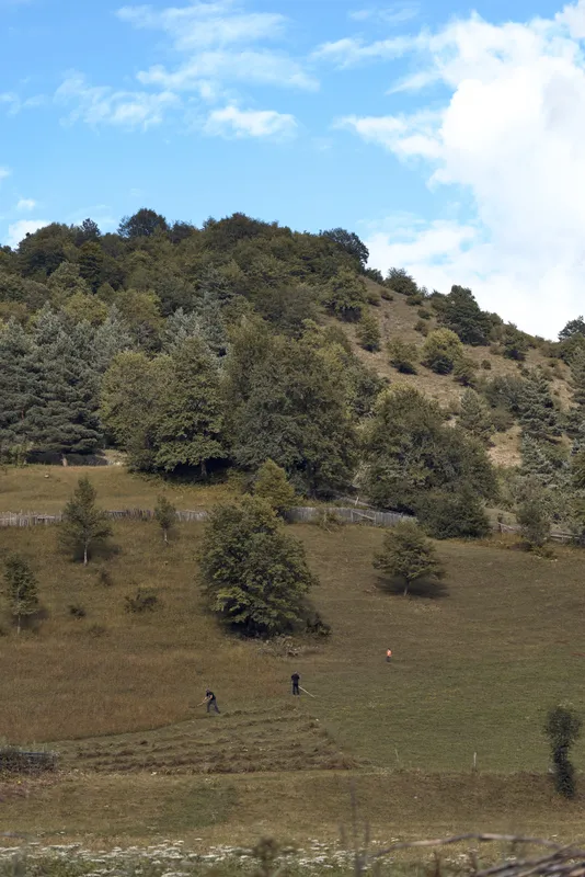 Hill meadow trees people walking in nature landscape on countryside slope with two figures authentic inclusive outdoor scene hiking and peaceful rural view calm atmosphere