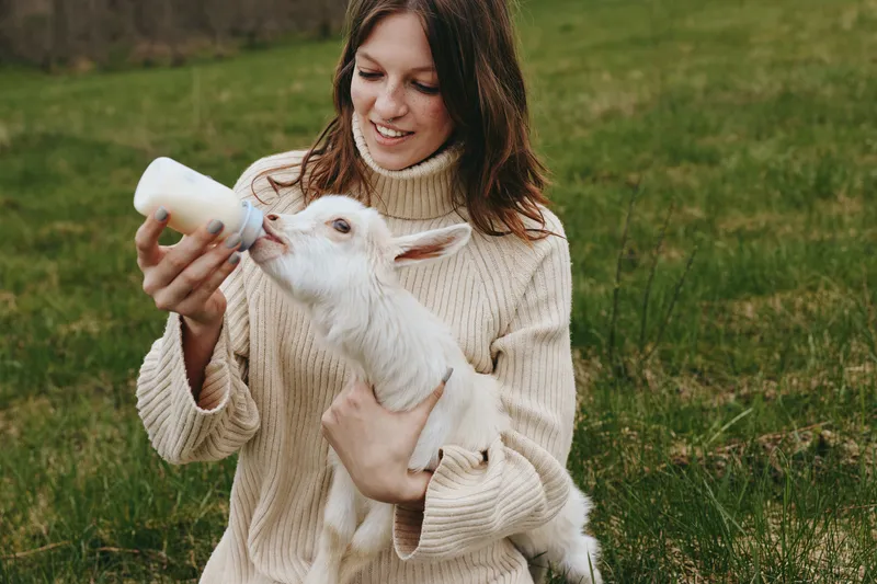 Young woman in a beige sweater feeds a white baby goat with a bottle while sitting on green grass outdoors in a natural lifestyle setting during daytime.