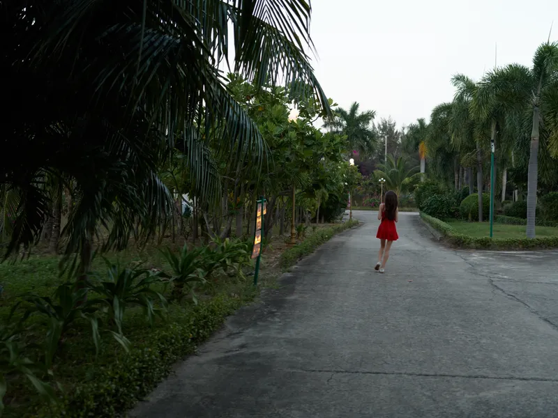 Woman walking alone on tropical park pathway lined with palm trees during early evening twilight in summer atmosphere.