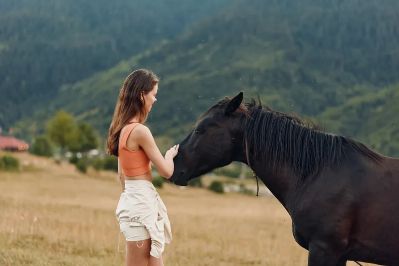 A young woman in an orange top and light shorts stands in a rural field, reaching toward a calm dark horse. Soft, warm light highlights a peaceful, intimate moment between human and animal.
