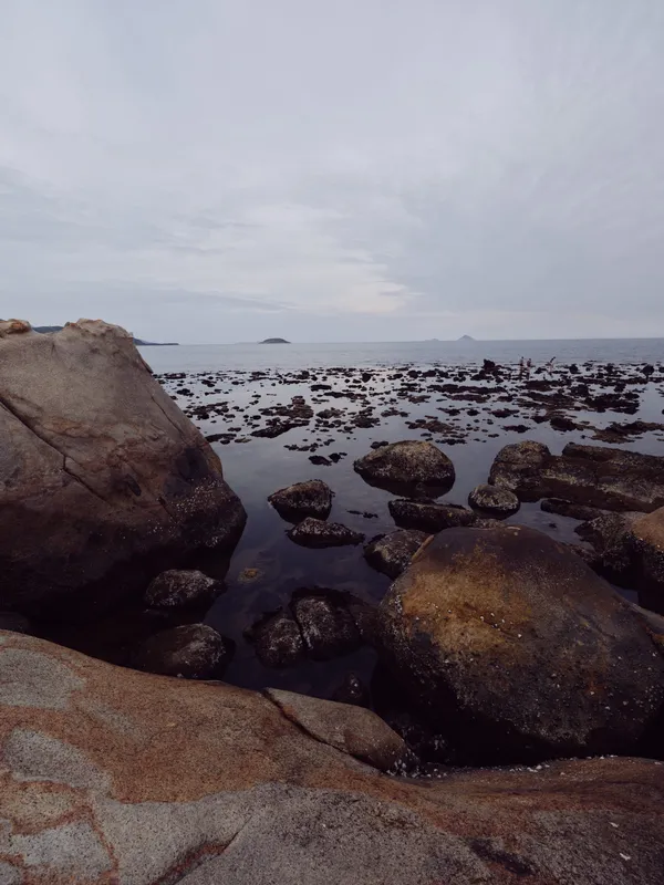 Serene coastal landscape featuring smooth stones and calm waters, perfect for relaxation or nature themed projects, showcasing earth tones and tranquility