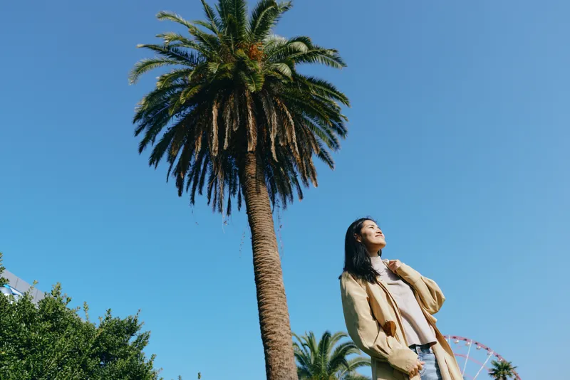 Palm, statue, outdoor scene with clear blue sky, lush greenery and a towering palm tree; warm sunlight highlights sculpture details in a serene park setting and calm urban nature