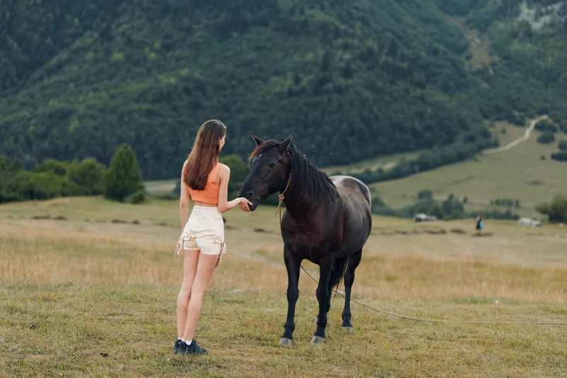 A young girl wearing a peach top and light shorts stands in a grassy field, offering a hand to a calm horse, with rolling hills in the background under clear skies.