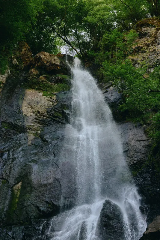 Waterfall cascading down rocky cliffs surrounded by lush green trees, creating a serene natural landscape with flowing white water and vibrant foliage.