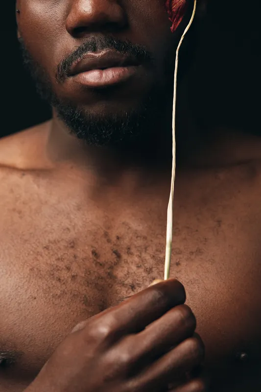 African man with dark skin holding a red flower close to his face in a creative conceptual visual style. Closeup portrait with bare chest and artistic expression on black background.