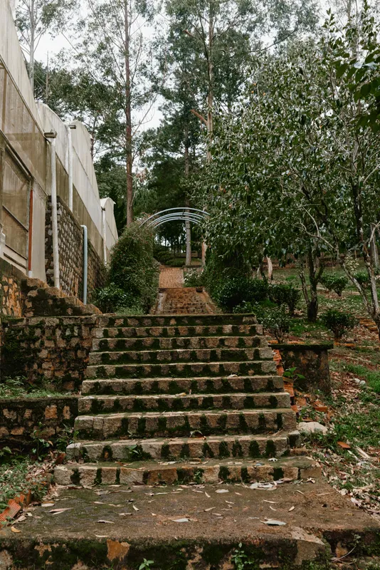 Stone pathway leading to a serene garden space, surrounded by lush greenery and trees, creating a peaceful outdoor atmosphere ideal for relaxation and nature lovers