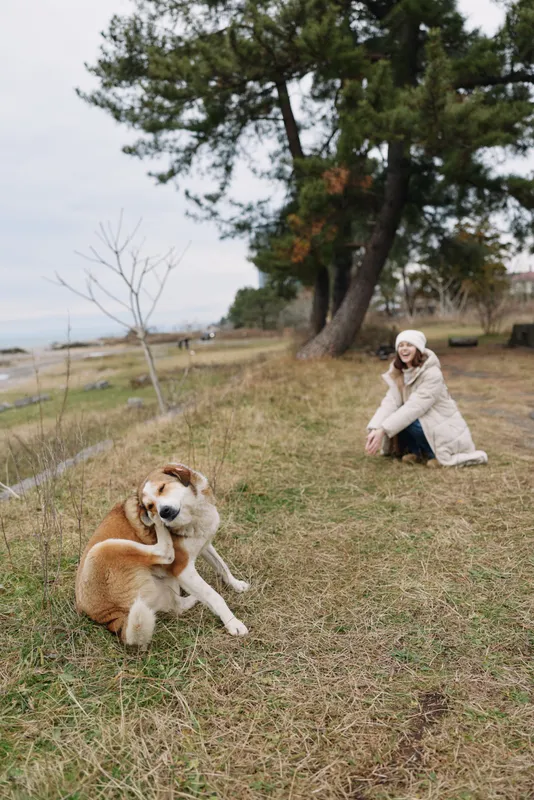 Dog and woman in a calm park by the coast, a warm coat and hat as they share a quiet moment on the grassy shore among pine trees nearby.