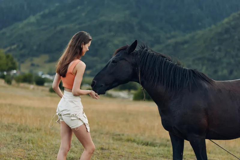 A woman wearing an orange top and light shorts stands in a grassy field, reaching toward a calm black horse. The scene conveys gentle curiosity and a quiet, intimate connection.