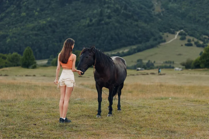 A young woman stands in a grassy meadow, gently reaching toward a black horse. The expansive countryside and warm light create a calm, intimate moment of connection with nature.