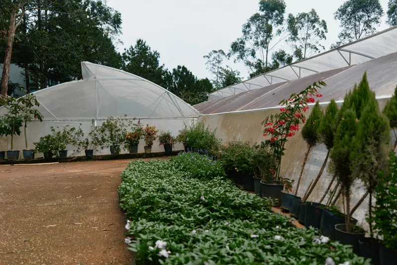 Lush green plants in a modern greenhouse setting, showcasing a variety of flowers and shrubs, ideal for gardening enthusiasts and landscape design inspiration