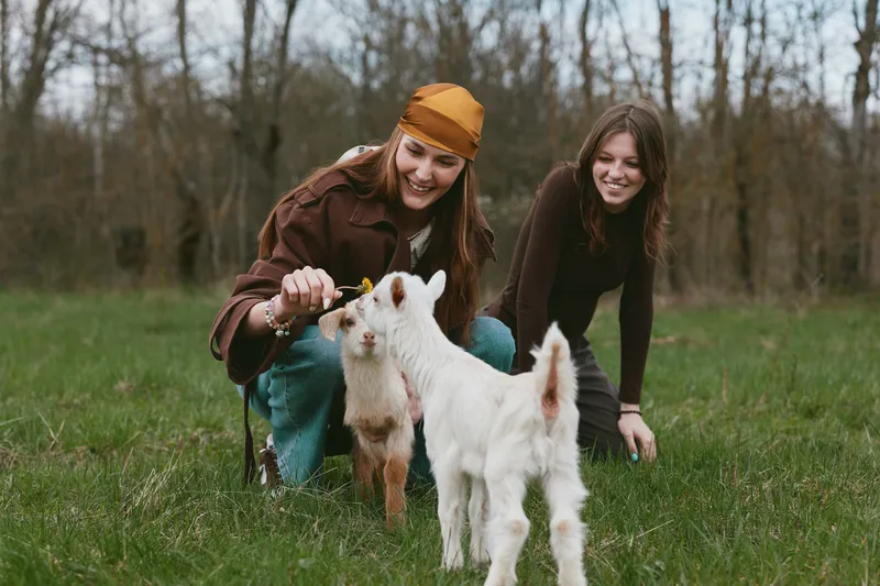 Two women in casual outfits play with a playful goat kid in a grassy meadow, capturing a warm outdoor lifestyle moment full of laughter, care, and rural charm.