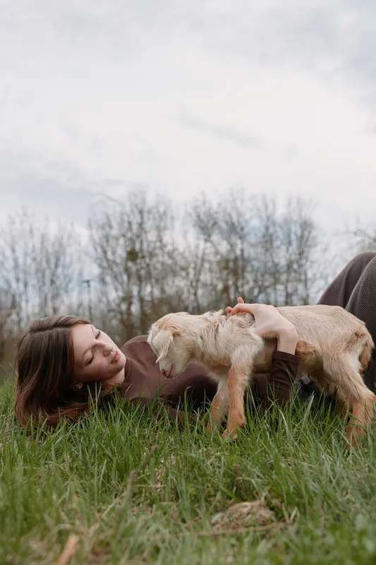 A woman lies on the grass outdoors, gently interacting with a goat kid, capturing a calm rural lifestyle moment and a warm animal bond with nature.
