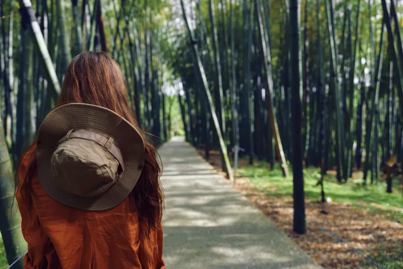 Woman hat path bamboo forest walking back traveler in orange jacket on a shaded trail, back view of a solitary traveler exploring green nature, peaceful walkway with tall vertical stems and sunlight.