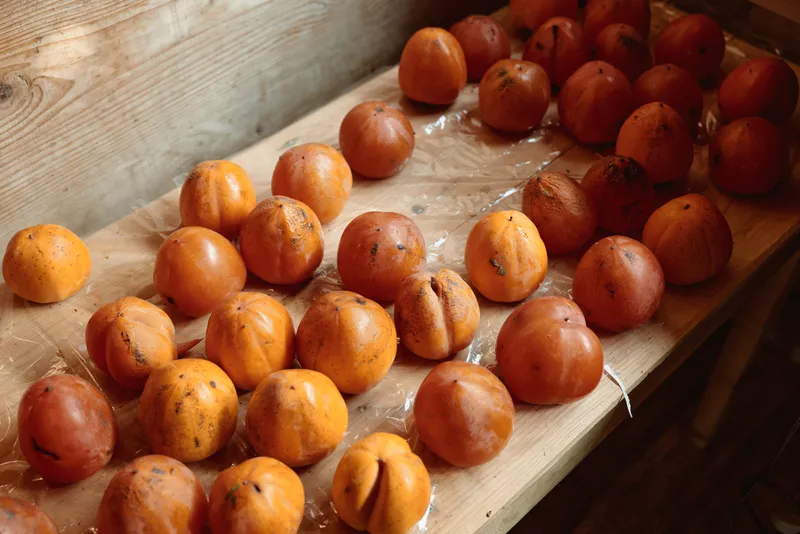 Apricots spread on a wooden tray in warm daylight, ripe and dusty with natural bloom, showcasing harvest fruit ready for drying, baking, or fresh snacking in rustic setting