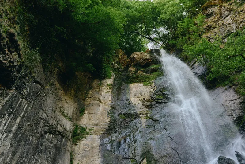 Majestic waterfall cascading down rocky cliffs surrounded by lush green forest under a clear sky, showcasing powerful natural beauty and serene wilderness.