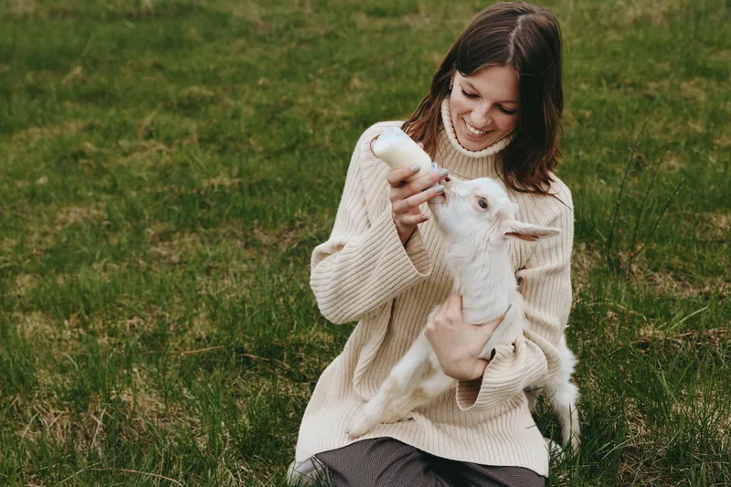 Goat, kid, woman, outdoors, feeding, milk, animal, nature, grass, joy, candid moment, warm sweater, gentle interaction, sunny day, relaxed pose, lush field, soft light