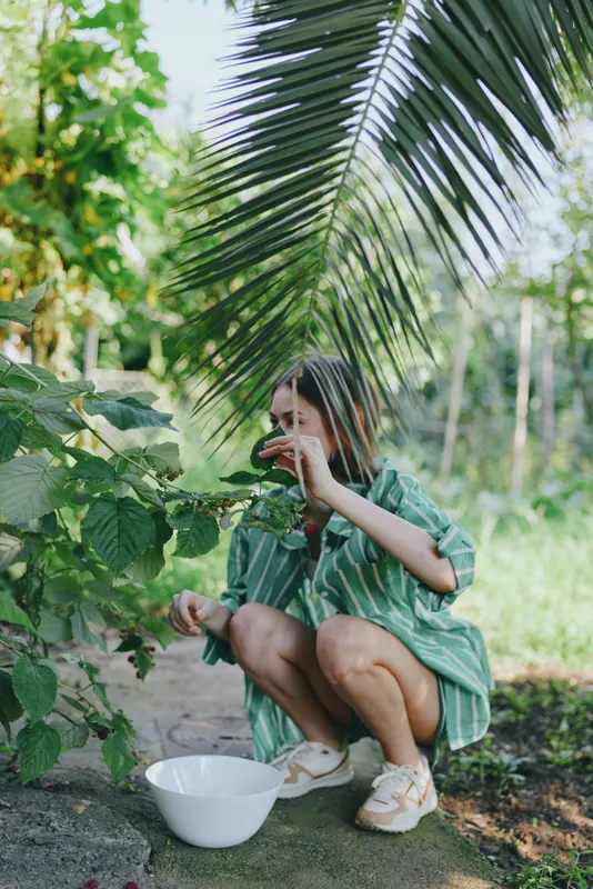 A person crouches in a sunny garden, harvesting fruit from lush vines beside tropical foliage.