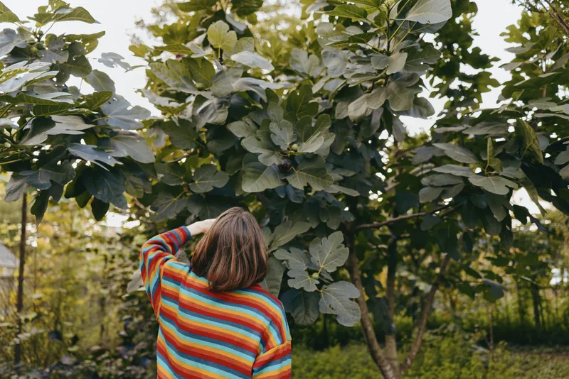 Woman in her late 20s wearing a colorful striped sweater, standing in a lush garden and looking up at a large tree with green leaves, curly hair visible, contemplative lifestyle travel scene.