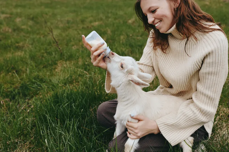 Goat kid feeding moment with a smiling woman outdoors, gentle interaction in a sunlit meadow, relaxed posture, soft breeze, natural colors, warm rustic vibe, and peaceful connection
