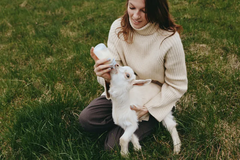 Young woman in a beige sweater feeds a baby goat with a bottle while sitting on green grass in a natural outdoor setting during a calm lifestyle moment.