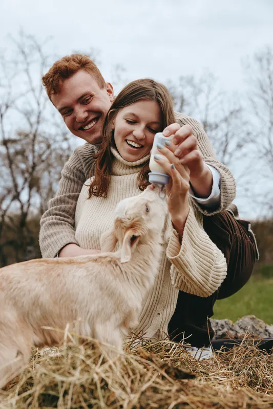 Smiling couple bottle-feeding a baby goat in an outdoor setting beside straw under soft light. Natural warm lighting frames a nurturing moment, conveying family bonding, gentle care, and playful farm
