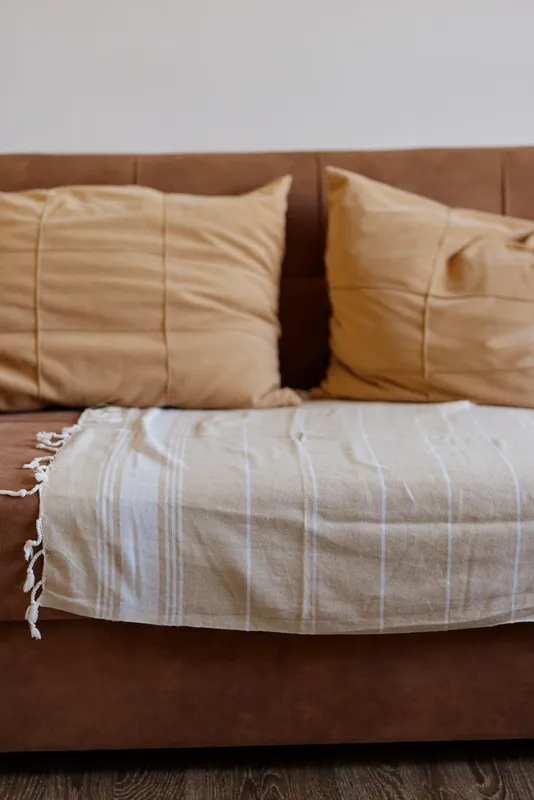 Cozy livingroom scene shows a plush brown sofa with beige cushions and a light striped throw, inviting relaxation and quiet everyday comfort in a sunlit corner