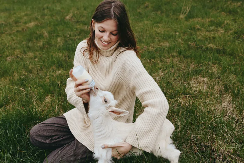 Tender moment of a woman in a cream sweater bottle feeding a goat kid outdoors on grass, countryside, rural life, showcasing care, gentle bonding, and a wholesome scene in natural light.
