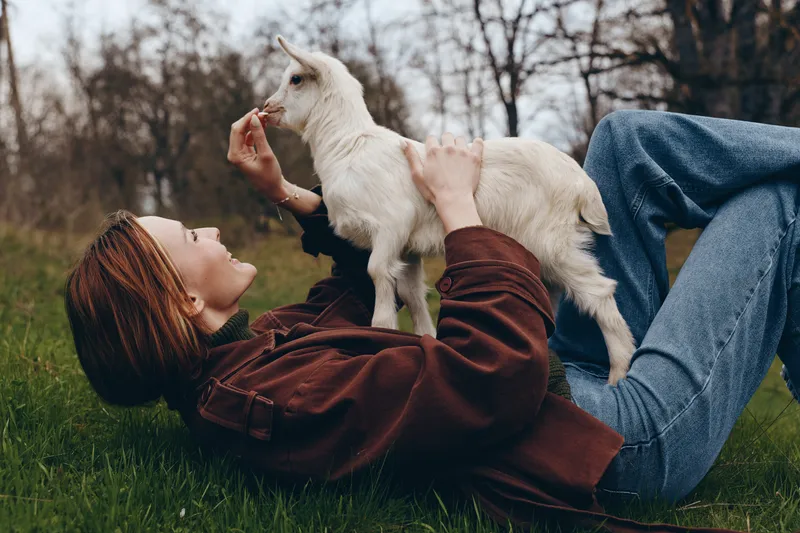 Lifestyle outdoor scene with a woman lying on grass, smiling, as a playful goat kid nuzzles her hand, creating a wholesome countryside moment in a relaxed park with light and green grass under a blue