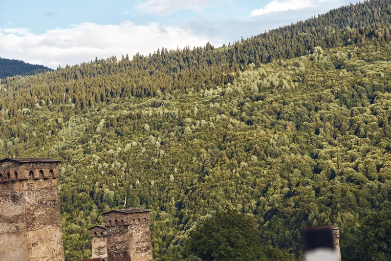 Forest hillside with dense trees and green landscape, ancient stone ruins and towers in foreground, panoramic nature scenery with calm atmosphere for travel photo