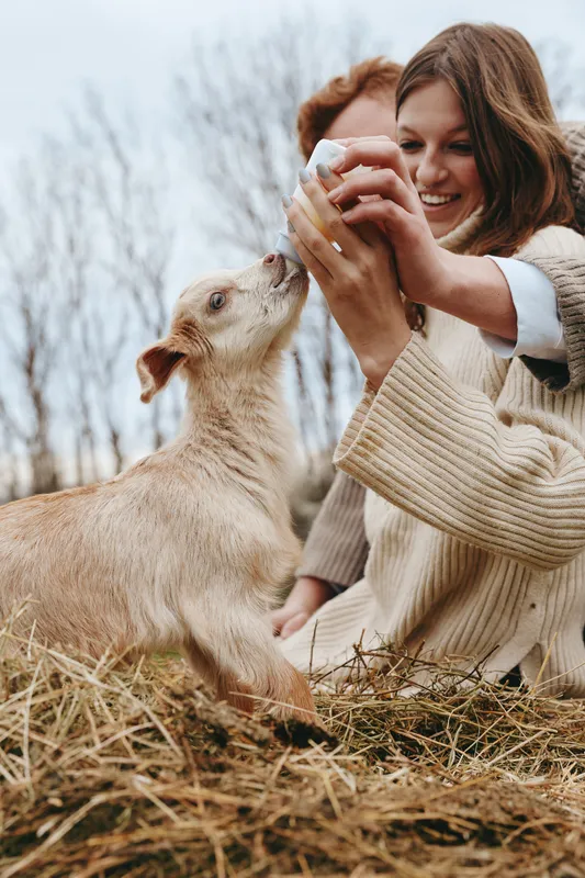 A caring woman feeds a young goat with a bottle outdoors in a rustic meadow, capturing a heartwarming moment of bonding, tenderness, joy and nature on a bright countryside day.