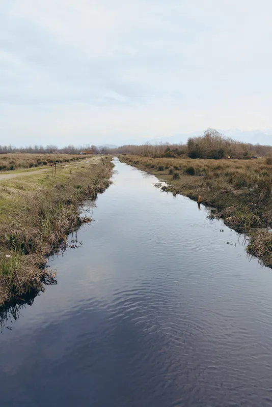Calm river landscape outdoors, narrow water channel winding through rural fields, cloudy sky and overcast light, natural colors, quiet rural atmosphere, trees and shrubs along banks