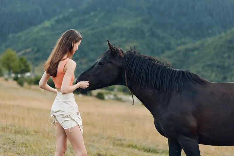 A young woman stands in a grassy meadow as a dark horse approaches, offering a gentle moment of connection between human and animal, with calm, peaceful countryside scenery.
