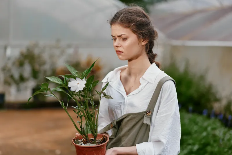 Young woman with brown hair in a greenhouse, wearing a white shirt and overalls, looking concerned while holding a potted plant, showcasing a connection to nature