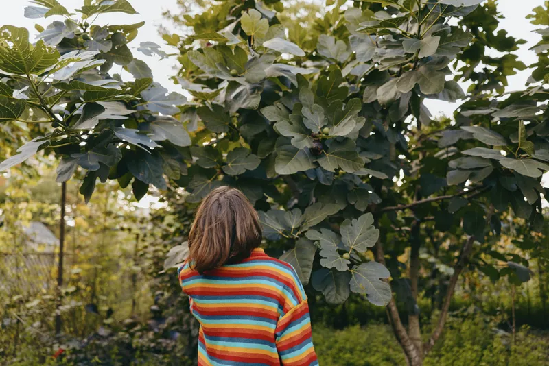 Woman in a colorful striped sweater in a lush garden, back view touching tree leaves, young adult female with shoulder-length hair, casual outfit, peaceful nature lifestyle moment