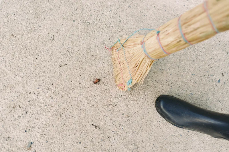 Broom sweep boot concrete dirt straw cleaning debris outdoor maintenance: closeup of a person sweeping sand and leaves from textured pavement with a traditional brush and rubber boot.