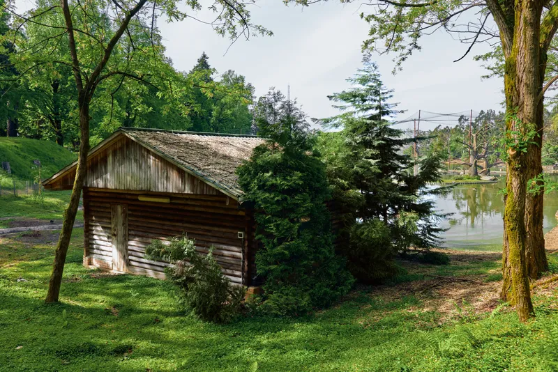 Cabin boathouse lake trees wooden greenery forest pond in a peaceful rural landscape with mossy roof, evergreen shrubs and reflected water, rustic waterfront retreat in nature.